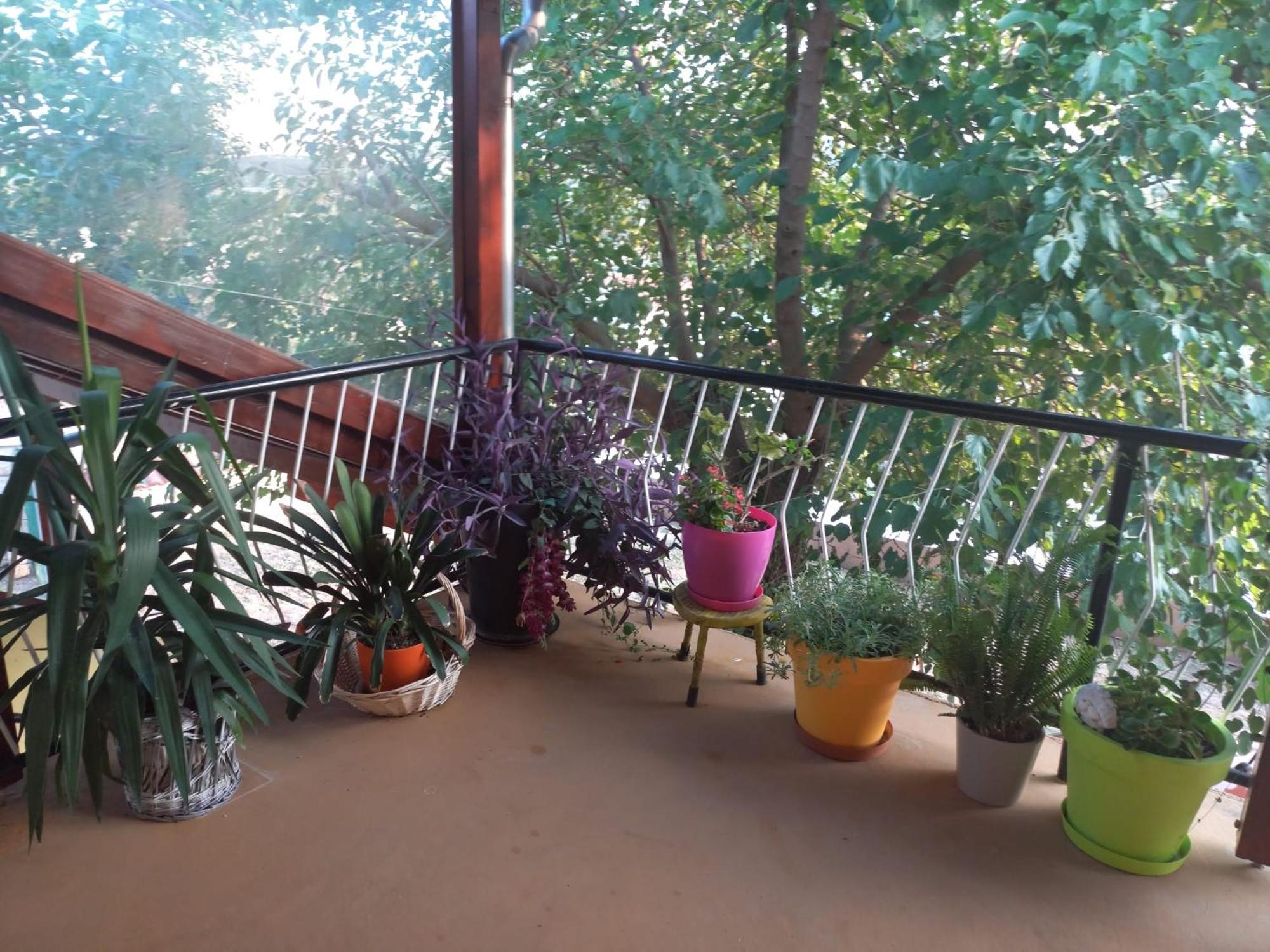 Apartmani Corleone Bilice Buitenkant foto